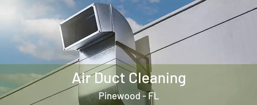  Air Duct Cleaning Pinewood - FL