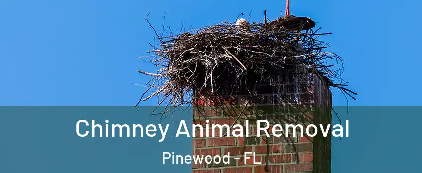  Chimney Animal Removal Pinewood - FL