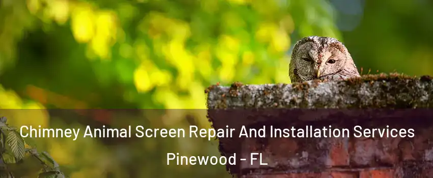  Chimney Animal Screen Repair And Installation Services Pinewood - FL