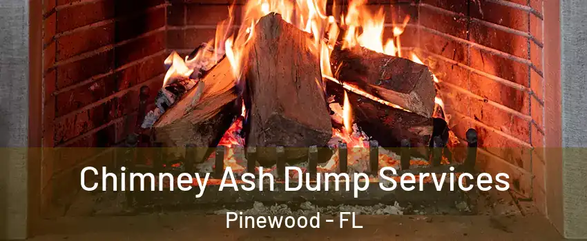 Chimney Ash Dump Services Pinewood - FL