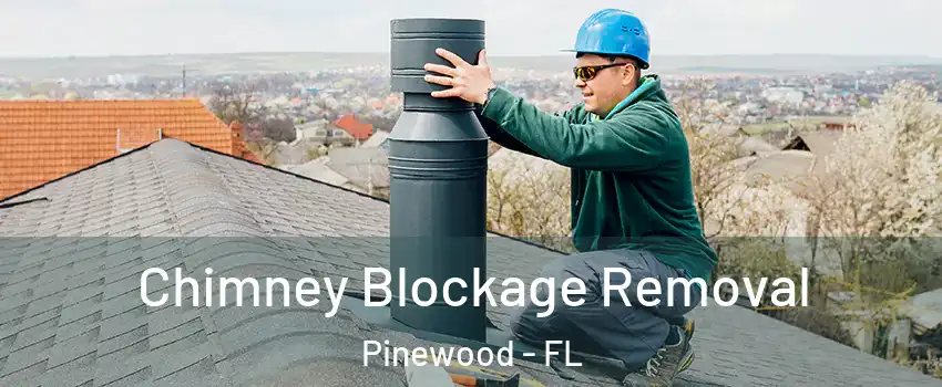 Chimney Blockage Removal Pinewood - FL
