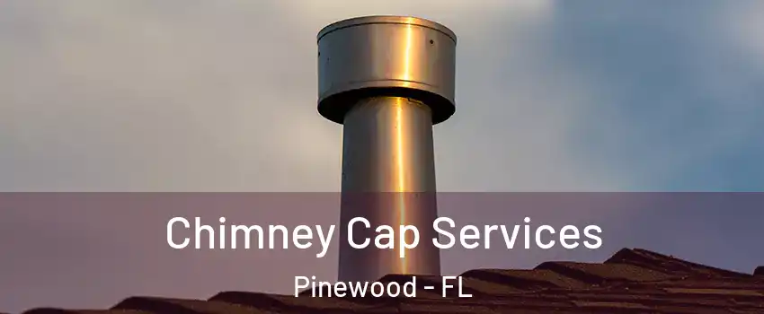  Chimney Cap Services Pinewood - FL