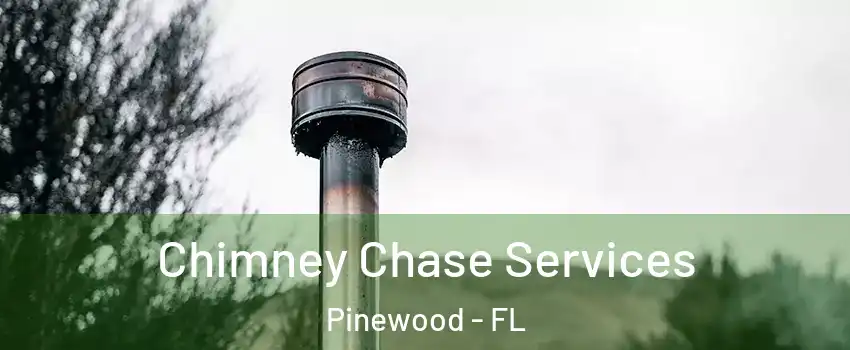Chimney Chase Services Pinewood - FL
