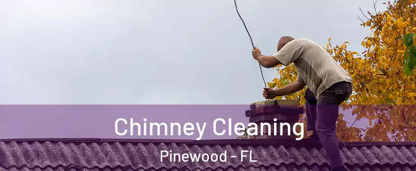  Chimney Cleaning Pinewood - FL