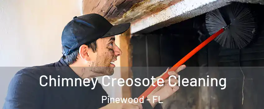  Chimney Creosote Cleaning Pinewood - FL
