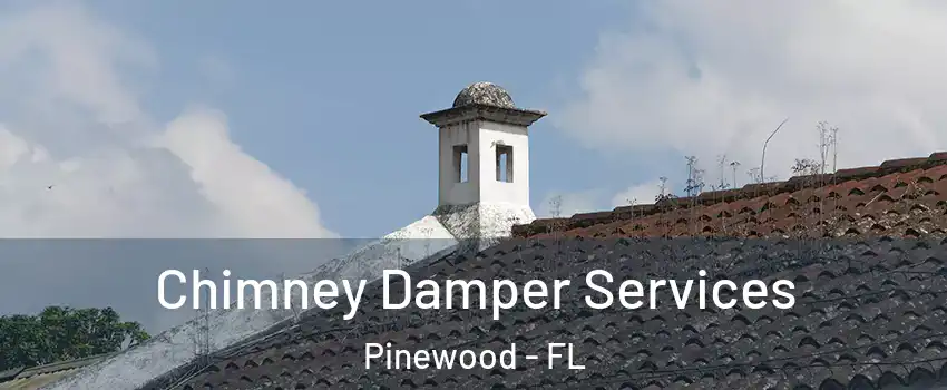  Chimney Damper Services Pinewood - FL