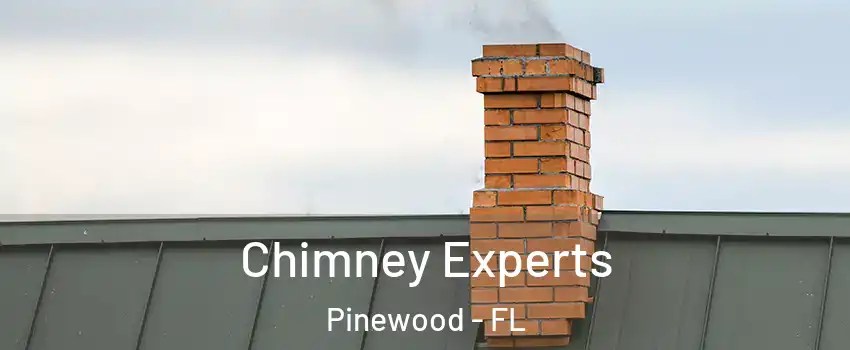  Chimney Experts Pinewood - FL