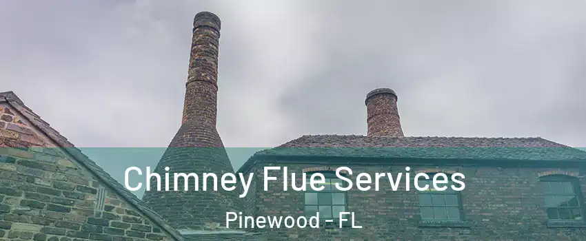  Chimney Flue Services Pinewood - FL