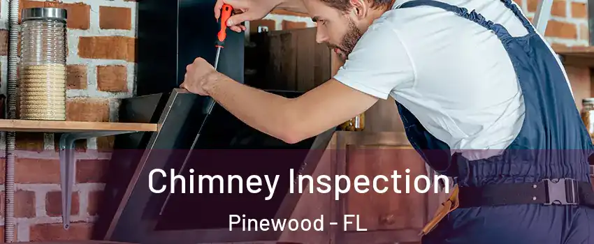  Chimney Inspection Pinewood - FL