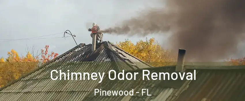  Chimney Odor Removal Pinewood - FL