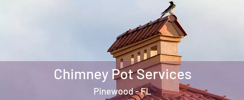  Chimney Pot Services Pinewood - FL