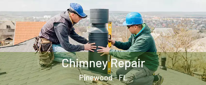  Chimney Repair Pinewood - FL