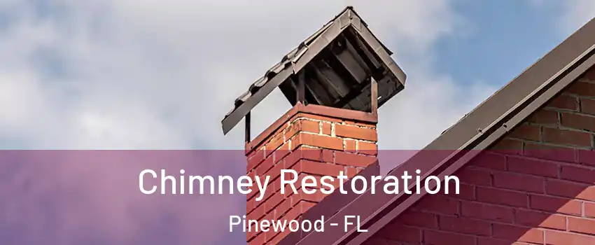  Chimney Restoration Pinewood - FL