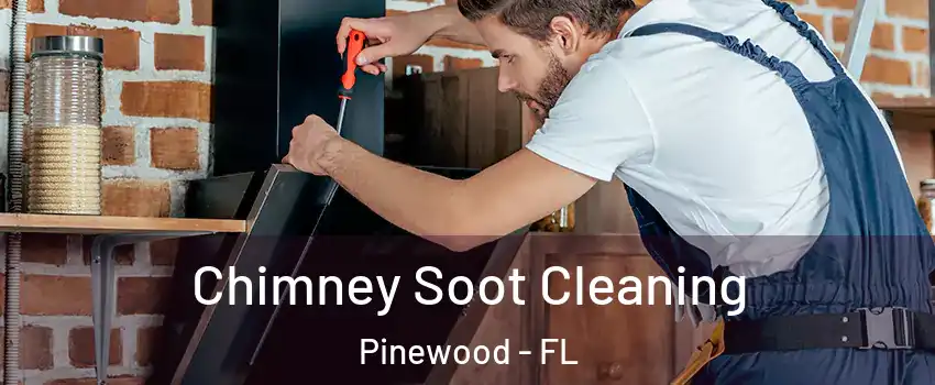 Chimney Soot Cleaning Pinewood - FL