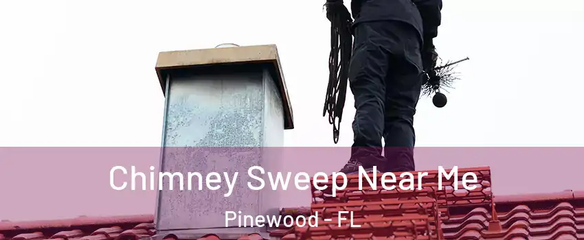  Chimney Sweep Near Me Pinewood - FL