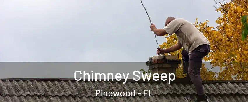  Chimney Sweep Pinewood - FL