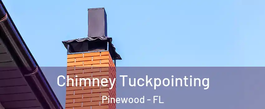 Chimney Tuckpointing Pinewood - FL