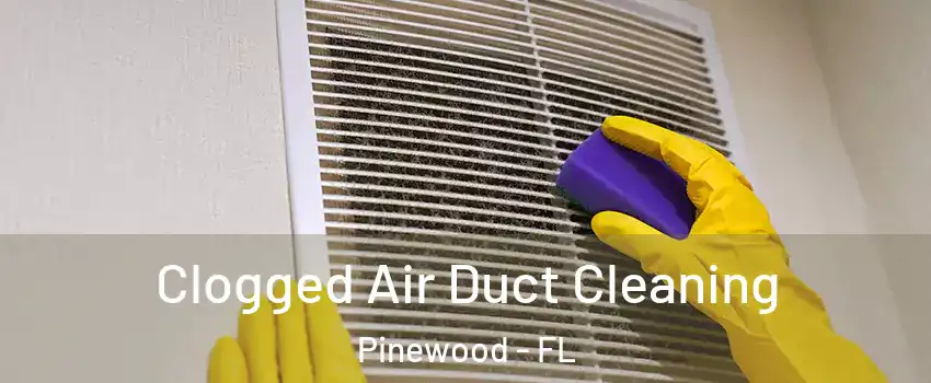  Clogged Air Duct Cleaning Pinewood - FL