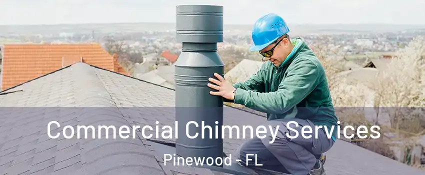  Commercial Chimney Services Pinewood - FL