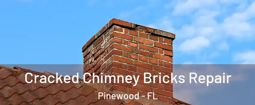  Cracked Chimney Bricks Repair Pinewood - FL