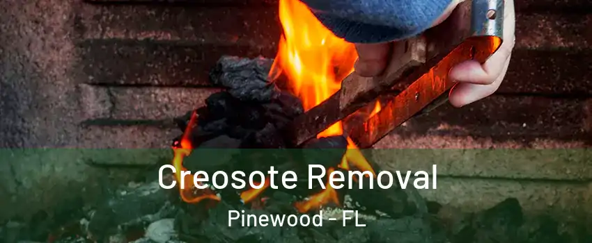 Creosote Removal Pinewood - FL