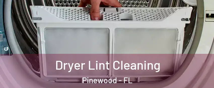  Dryer Lint Cleaning Pinewood - FL