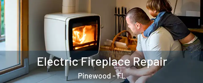  Electric Fireplace Repair Pinewood - FL