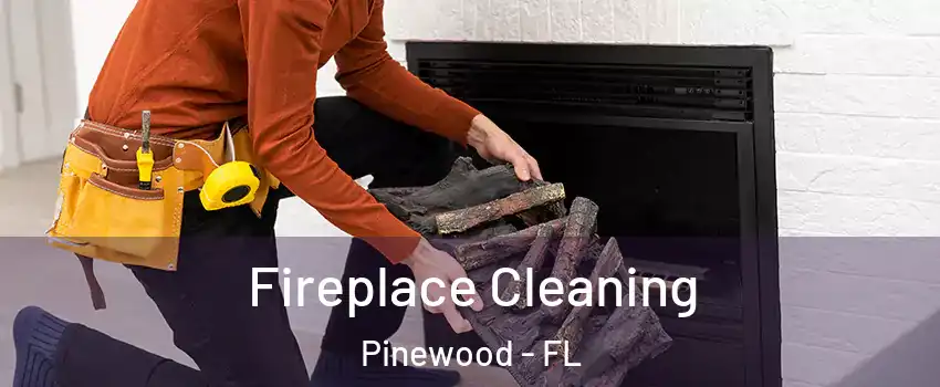 Fireplace Cleaning Pinewood - FL