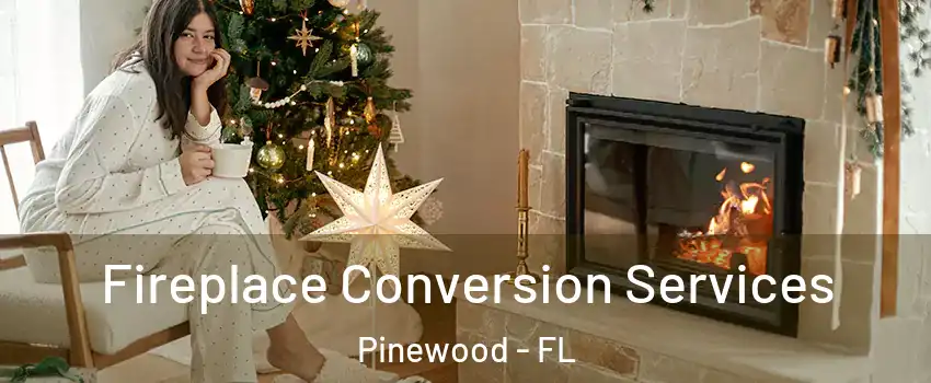 Fireplace Conversion Services Pinewood - FL