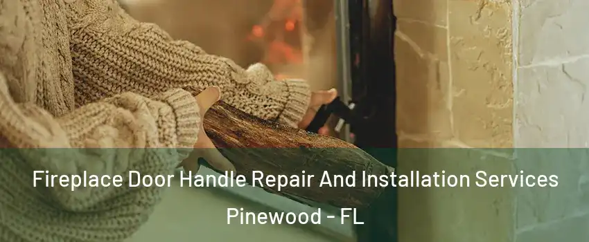 Fireplace Door Handle Repair And Installation Services Pinewood - FL