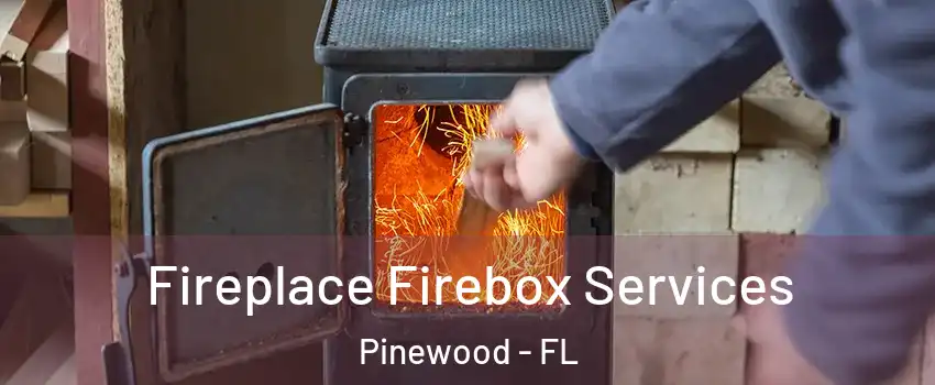  Fireplace Firebox Services Pinewood - FL