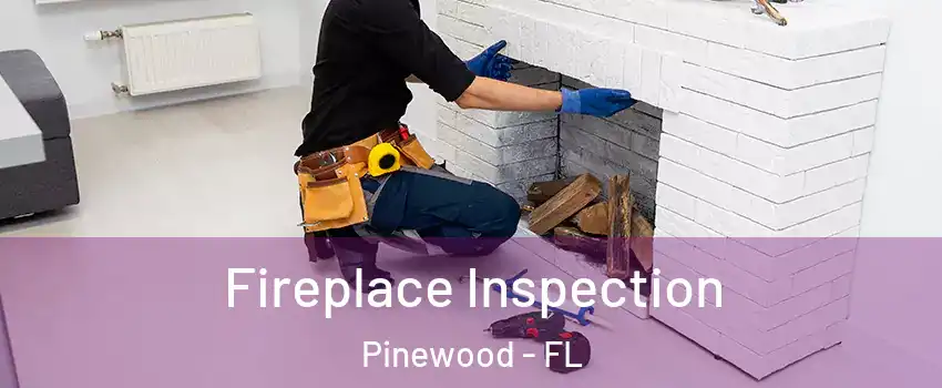 Fireplace Inspection Pinewood - FL