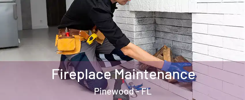 Fireplace Maintenance Pinewood - FL