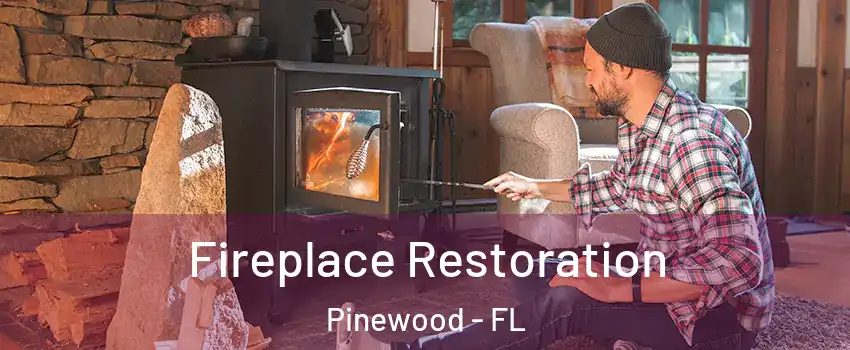  Fireplace Restoration Pinewood - FL
