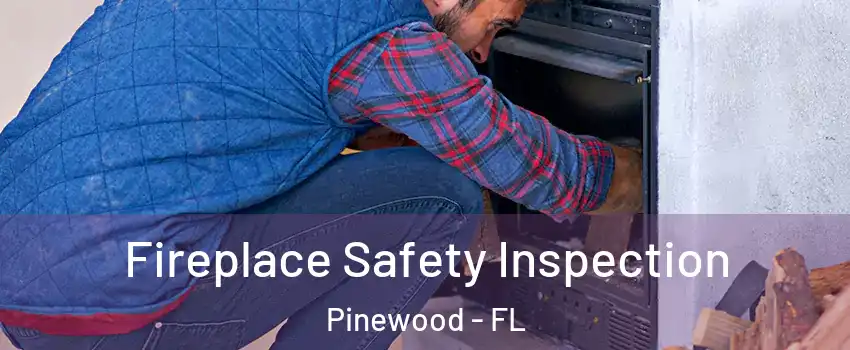  Fireplace Safety Inspection Pinewood - FL