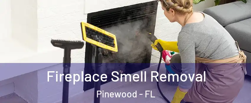  Fireplace Smell Removal Pinewood - FL