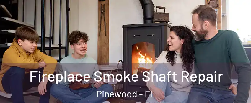  Fireplace Smoke Shaft Repair Pinewood - FL