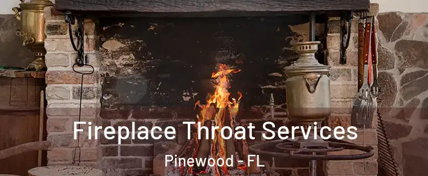  Fireplace Throat Services Pinewood - FL