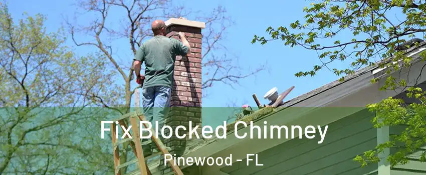  Fix Blocked Chimney Pinewood - FL