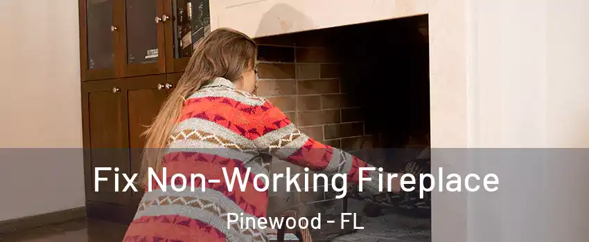  Fix Non-Working Fireplace Pinewood - FL