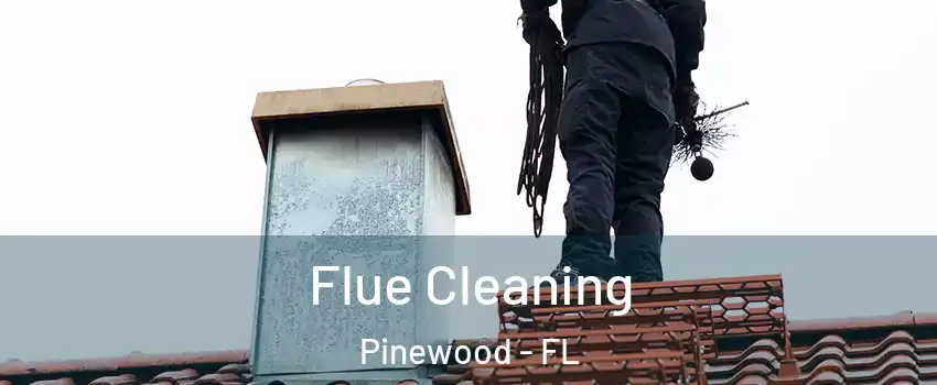 Flue Cleaning Pinewood - FL