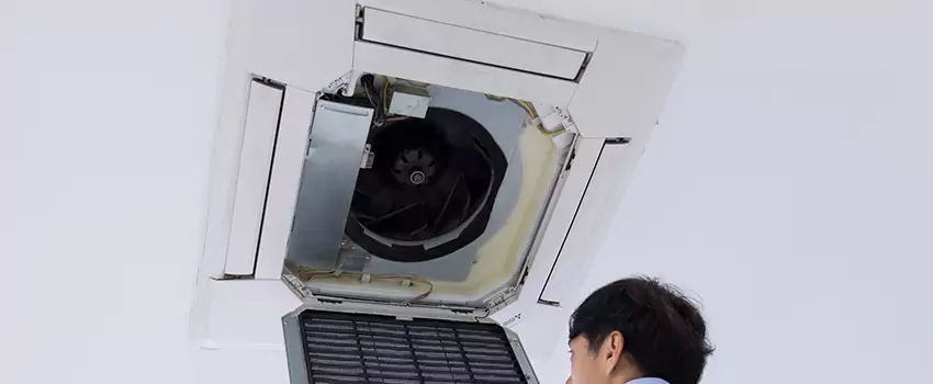 Benefits of Professional Air Duct Cleaning in Pinewood, Florida