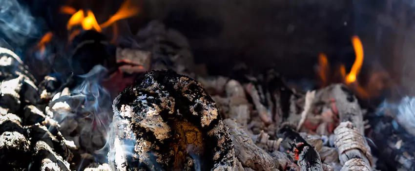 Creosote Removal Experts in Pinewood, FL