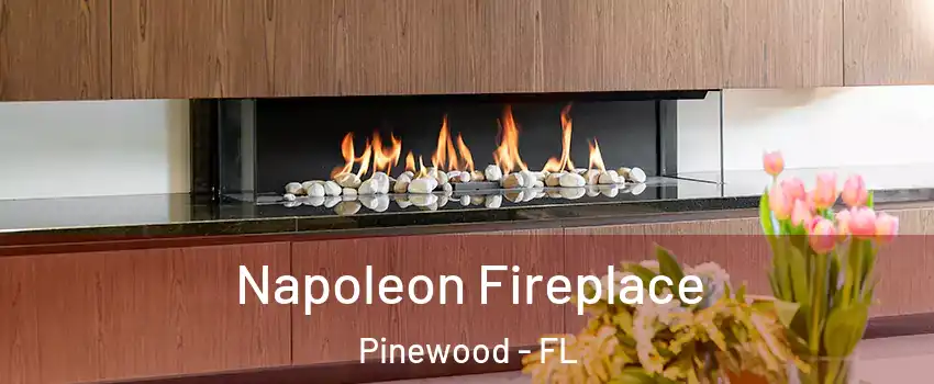  Napoleon Fireplace Pinewood - FL