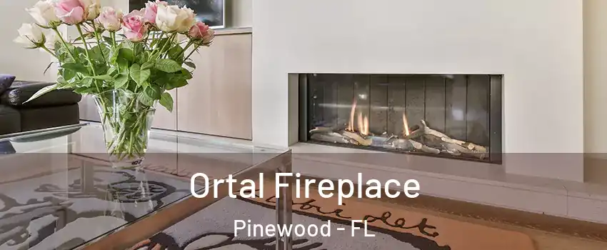  Ortal Fireplace Pinewood - FL