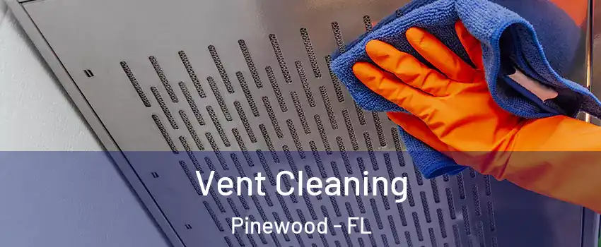  Vent Cleaning Pinewood - FL