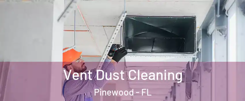  Vent Dust Cleaning Pinewood - FL
