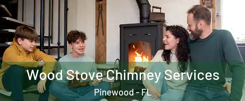  Wood Stove Chimney Services Pinewood - FL