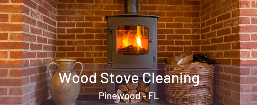  Wood Stove Cleaning Pinewood - FL